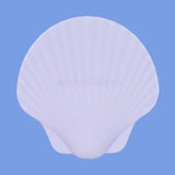 Shell Baby Teether | Violet